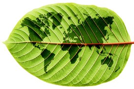 shutterstock_170593844-272x181