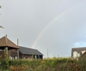 IMG_2388.jpeg IMG_2388.jpeg