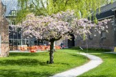 tuin.jpg tuin.jpg