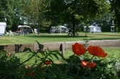 camp papaver kl.JPG camp papaver kl.JPG
