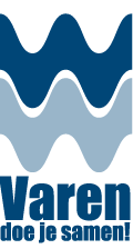 logo vds